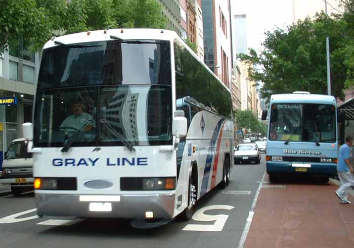 Gray Line Motorcoach Classic III